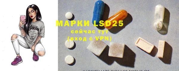 PSILOCYBIN Абдулино